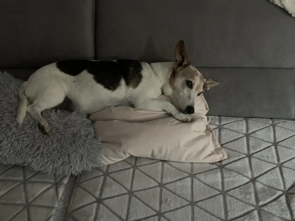 Andachtsbild von Mona mit Lina tief im ❤️