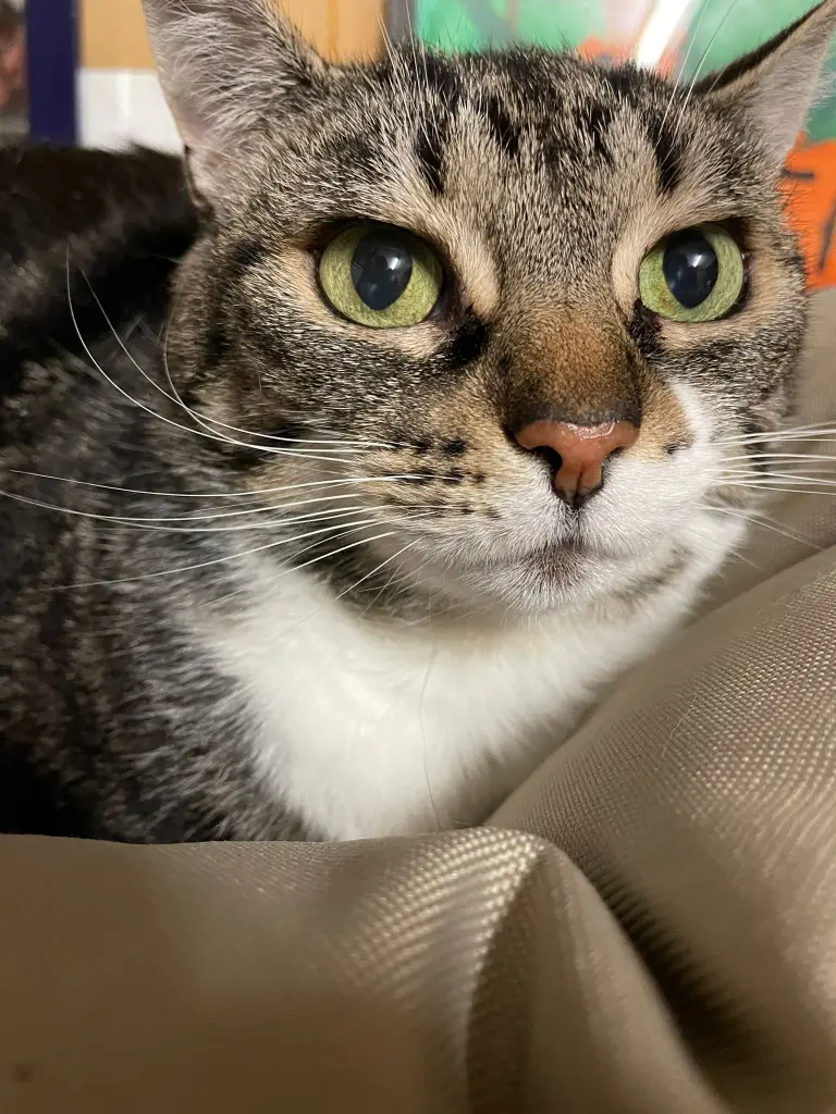 Unser hübsches Mädchen ❤️