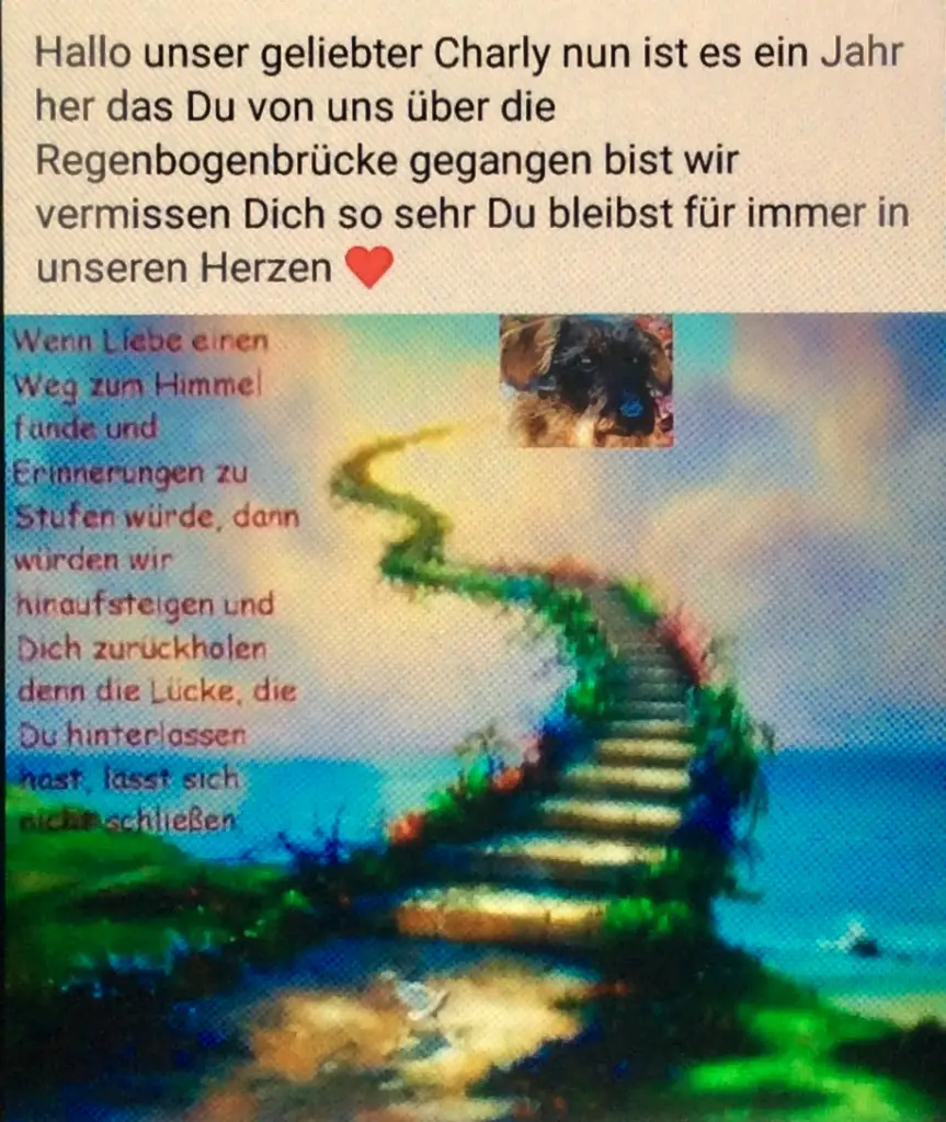 Condolence image of Hildegard