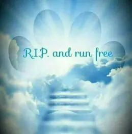 Condolence image of Jessica