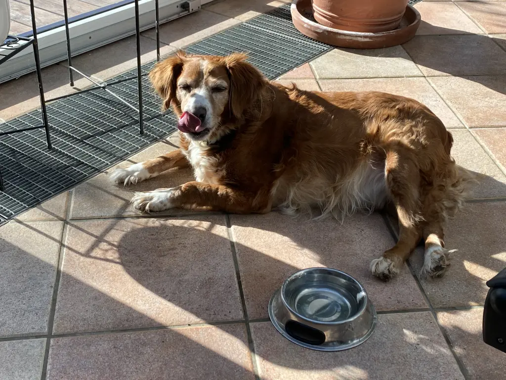 Gerne in der Sonne