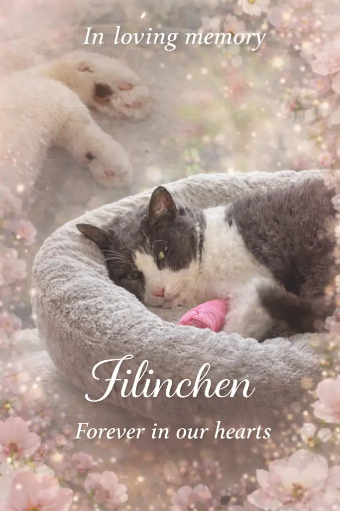 Image from Filinchen