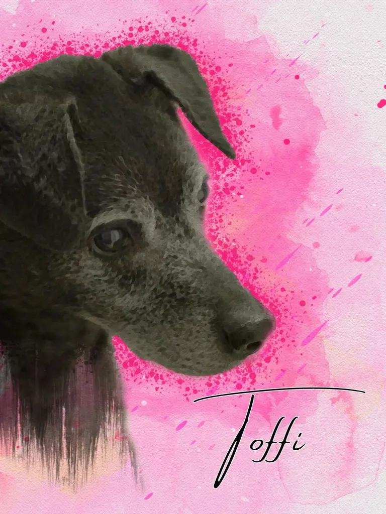 Andachtsbild von Tobias Schröttle