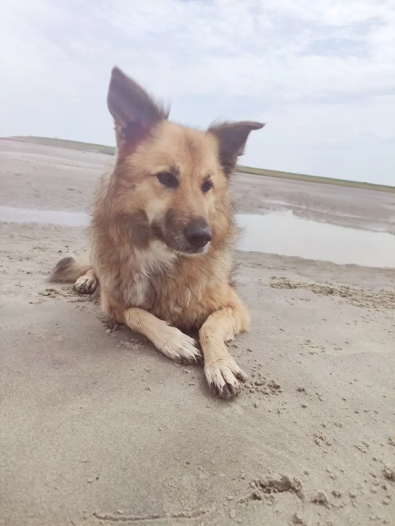 Andachtsbild von Yasmina