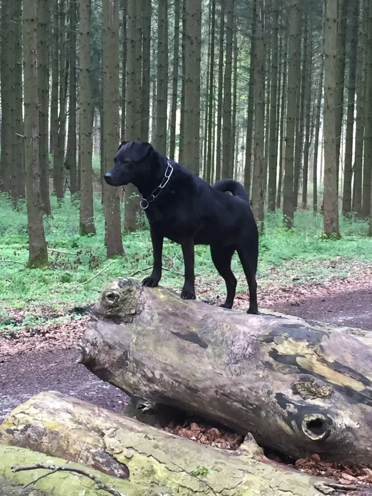 Du warst so stark und hast alles hinterfragt