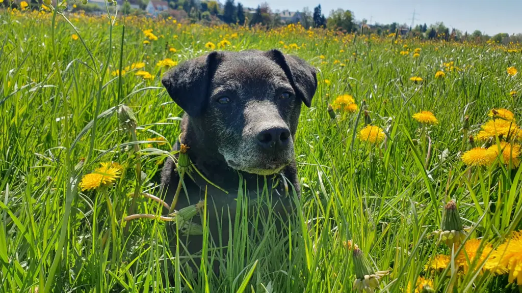 Du warst das beste was in mein Leben getreten war ❤️