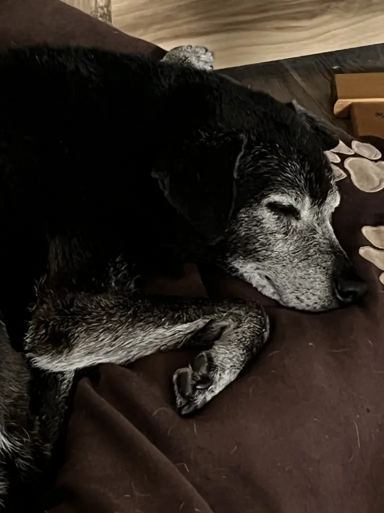 Du hast alles durchgestanden und doch musstest du gehen