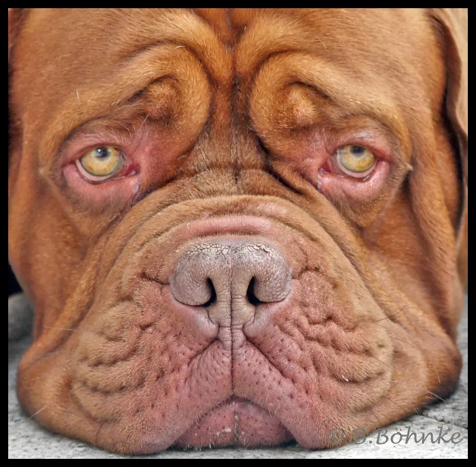 Condolence image of Birgit