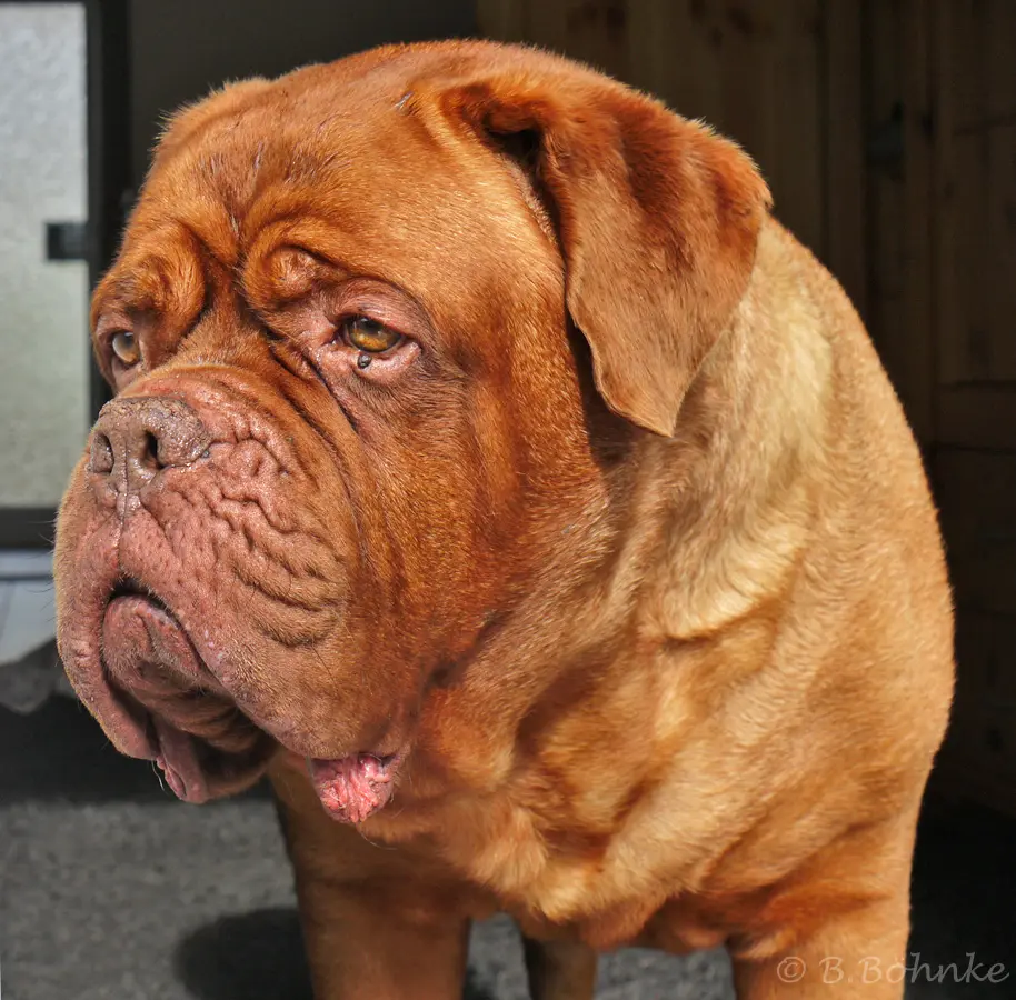 Condolence image of Birgit