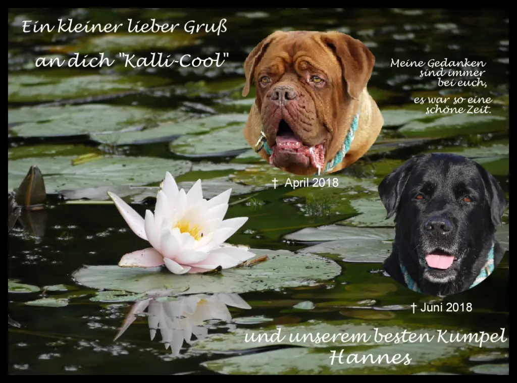Condolence image of Birgit