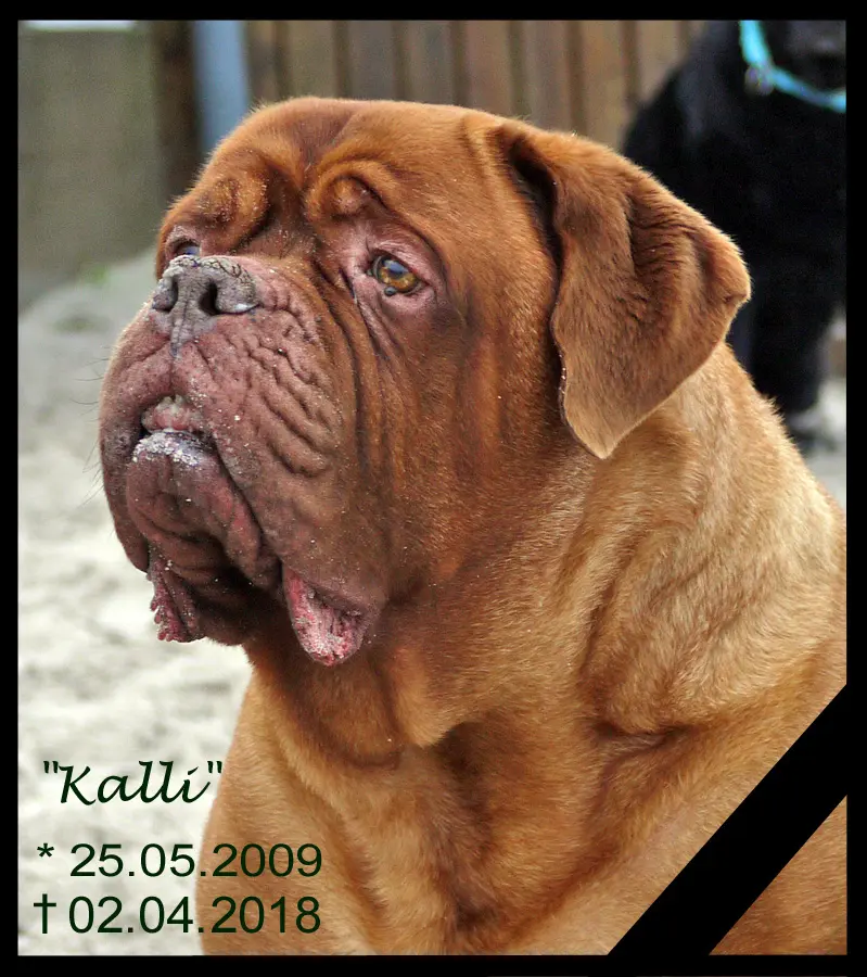 Image from Kalli