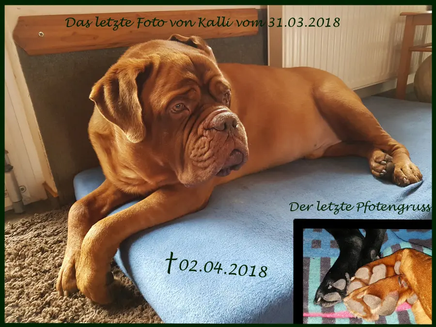 Image from Kalli