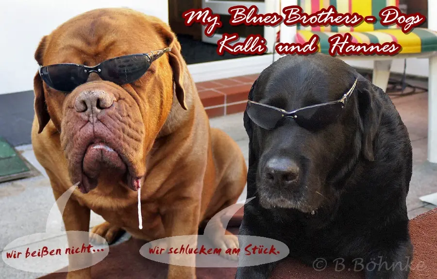Image from Kalli