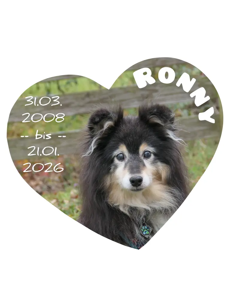 Bild von Ronny