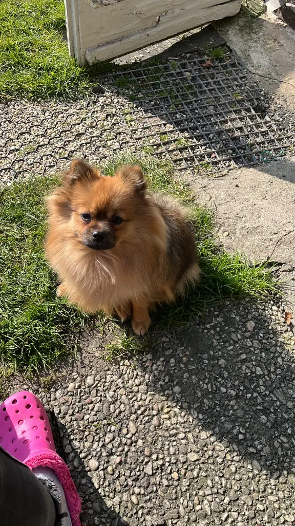 Willst du ohne mich weg?