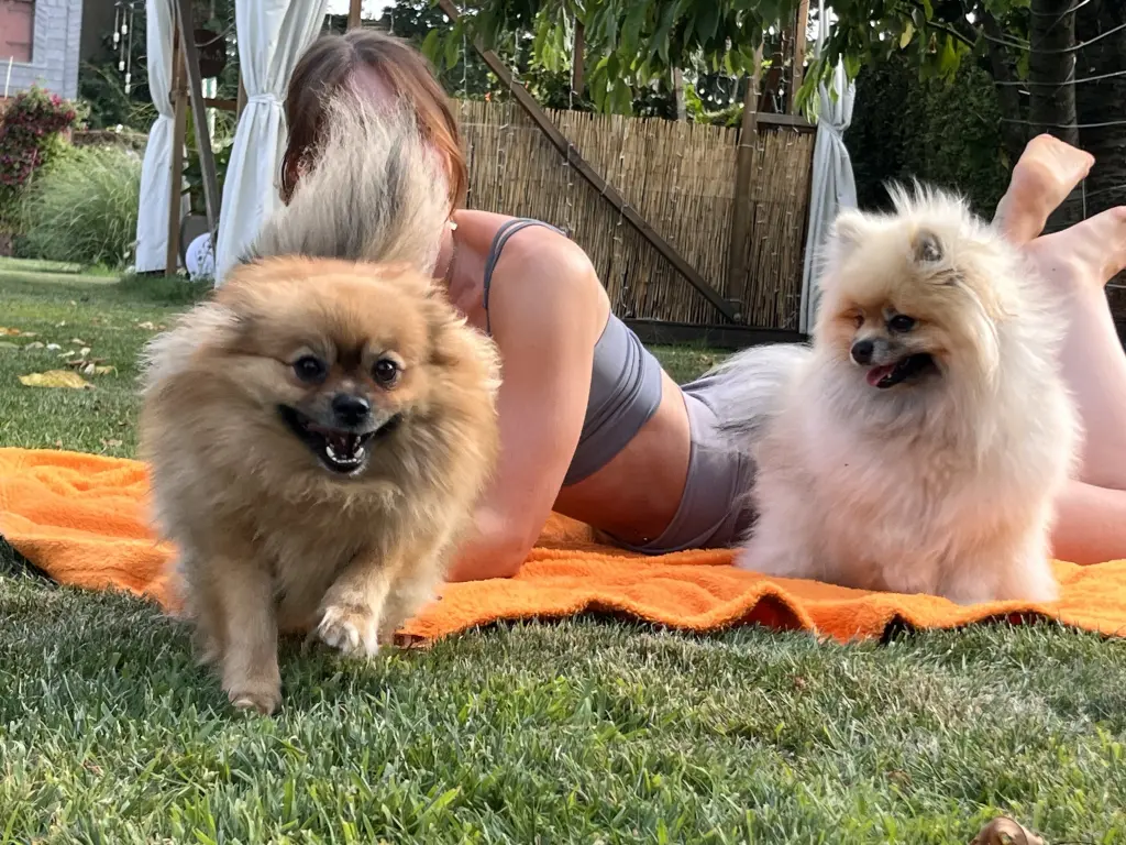 Foto? Pff ich will zu meiner Mami