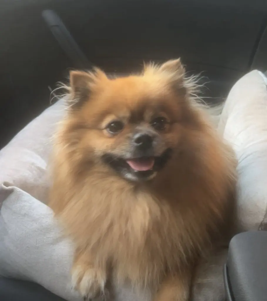 Mami, ich liebe dich so sehr!