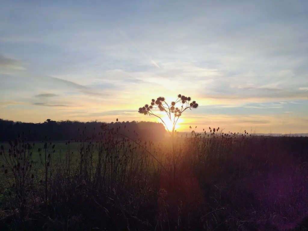 Andachtsbild von Corinna mit Vinni-Ved im ❤️