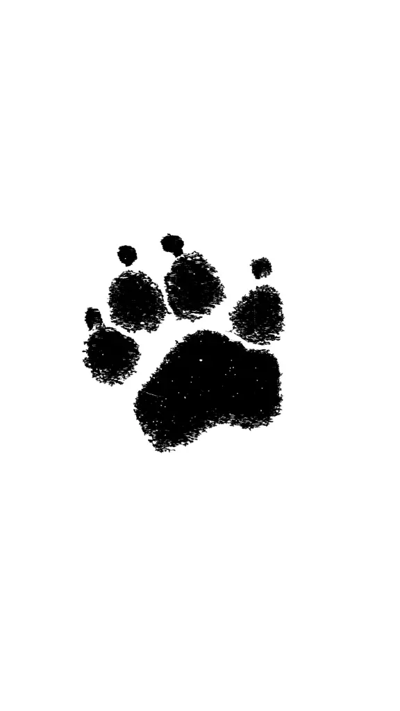 Image from Buddy