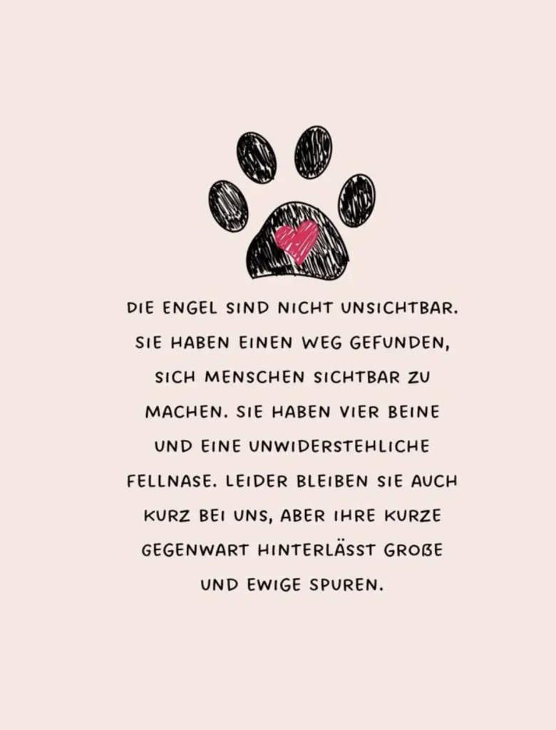 Condolence image of Jamie Ebermann