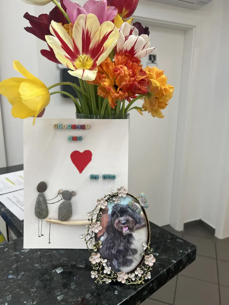 Andachtsbild von Tierarztpraxis Ben