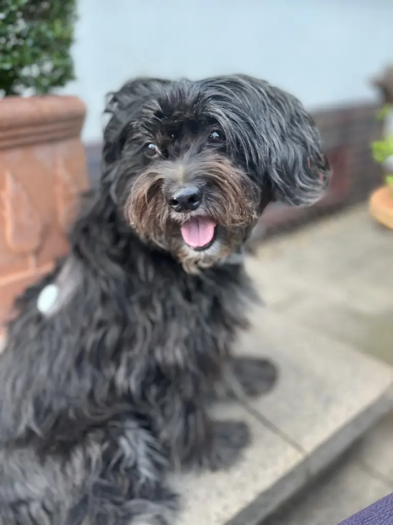 Du bist zauberhaft 🫶