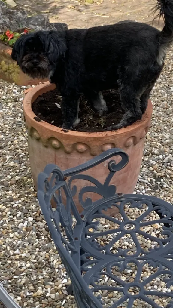 Du hattest immer Quatsch im Kopf 😀