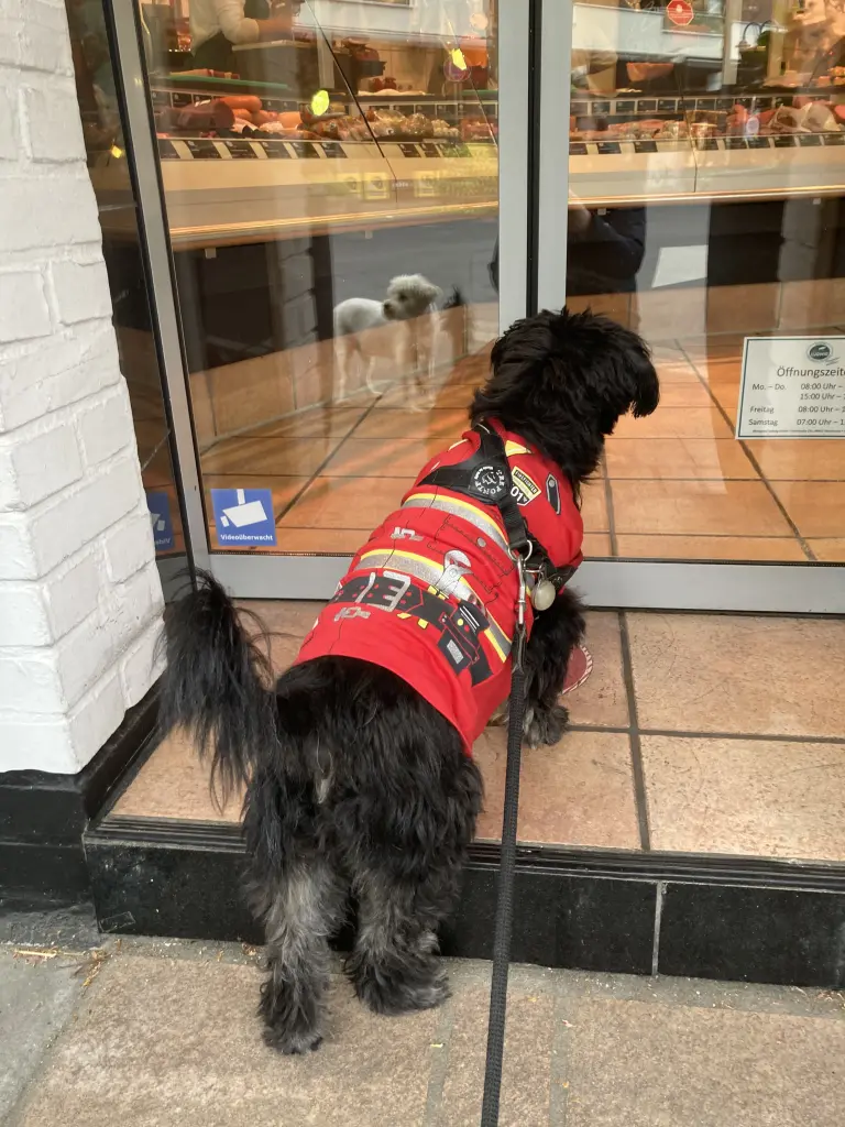 Es duftete doch immer so gut in der Metzgerei😍