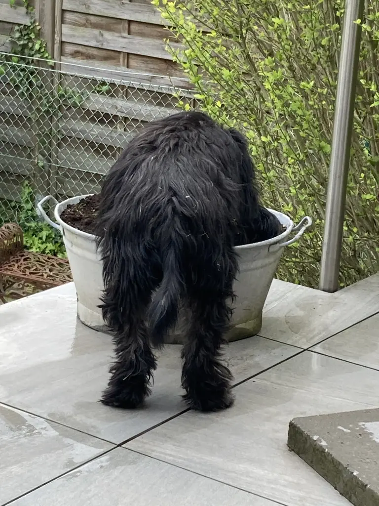 😍❤️ Deinen Hintern würden wir unter allen erkennen