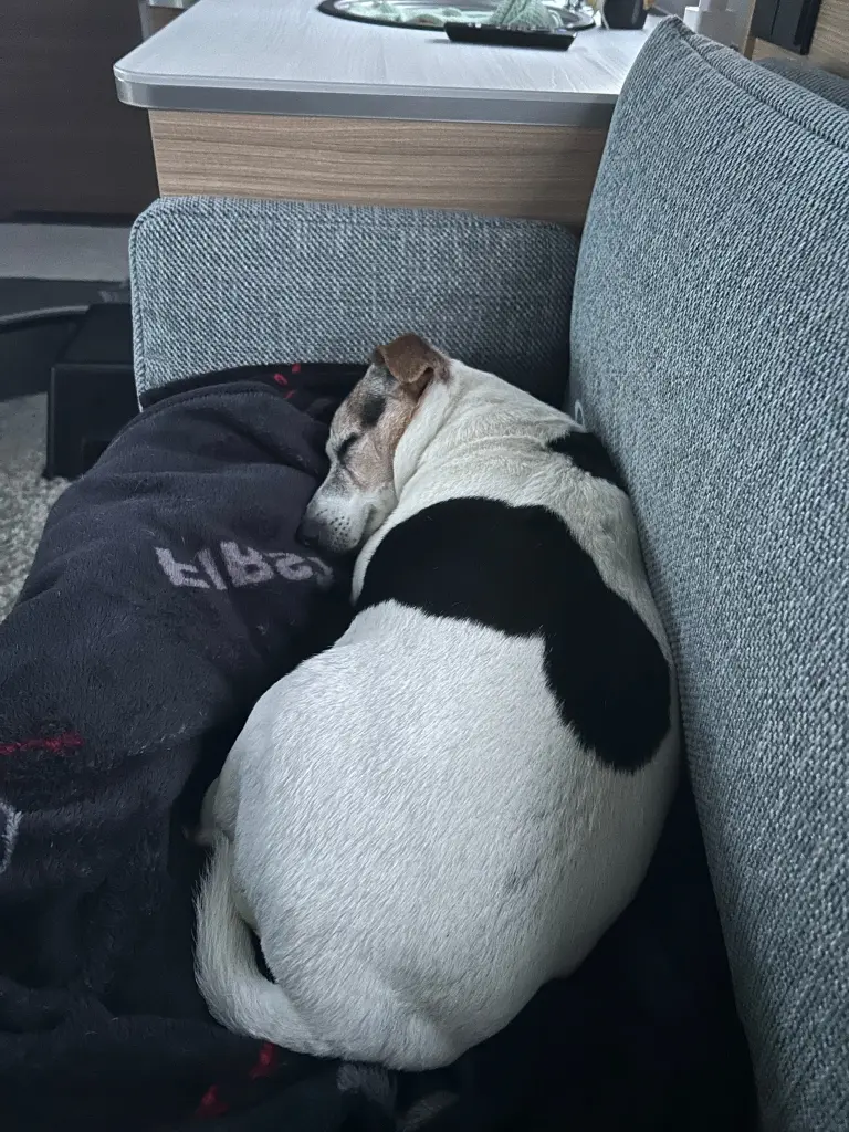 Schlafmupfel