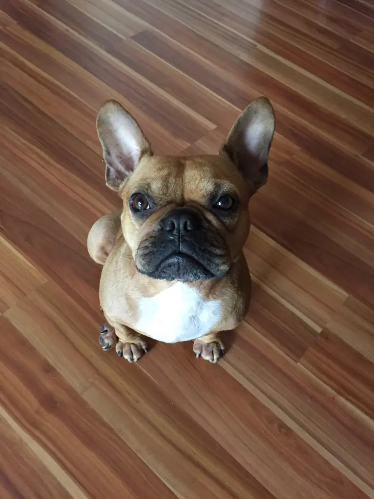 Image from Nelly