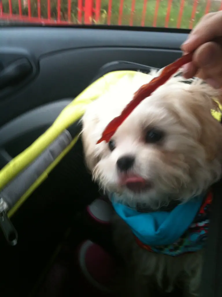 Andachtsbild von Anja Baum