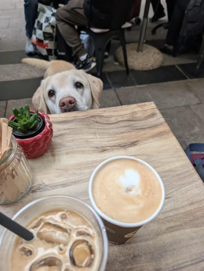 Andachtsbild von Nicole & Matti