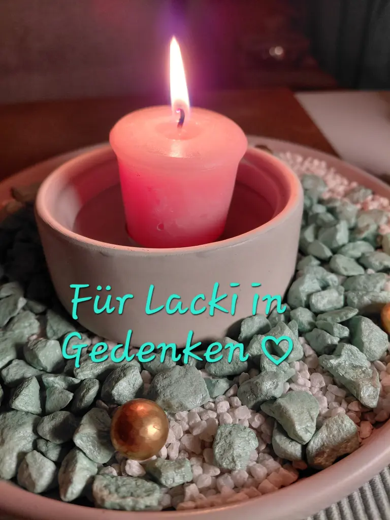 Condolence image of Birgit Staron
