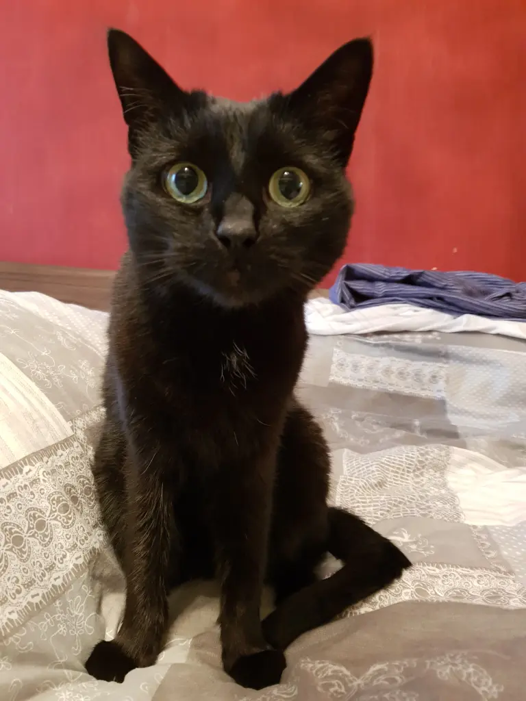 Condolence image of Sabrina
