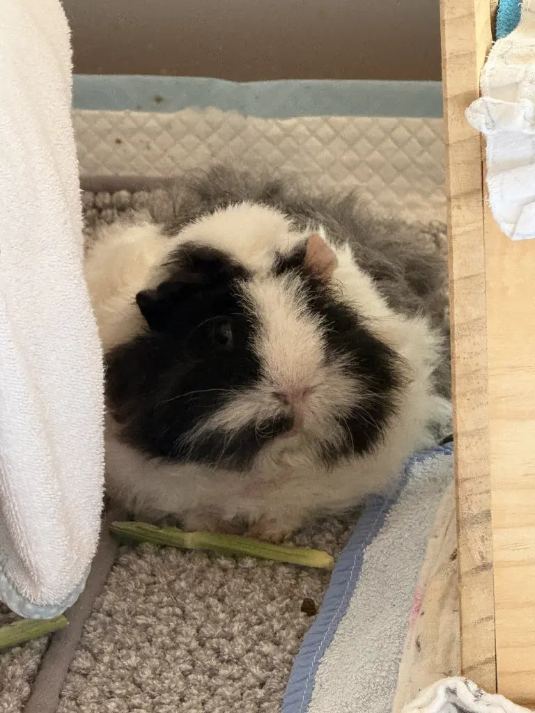 Bild von Moritz - Mou