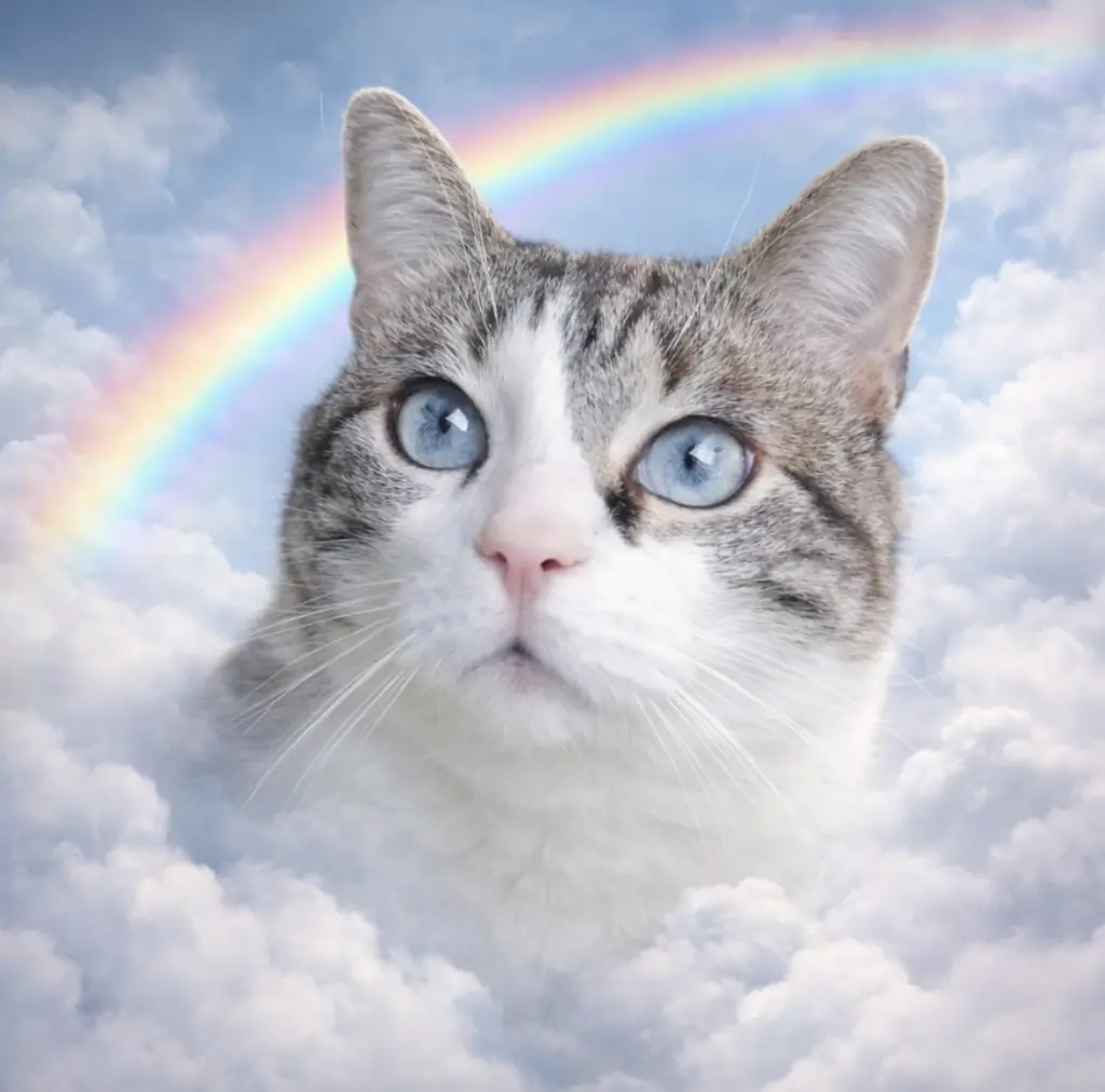 Condolence image of Sonja