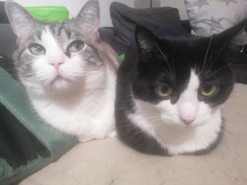 Mit seiner Mama die noch bei uns ist