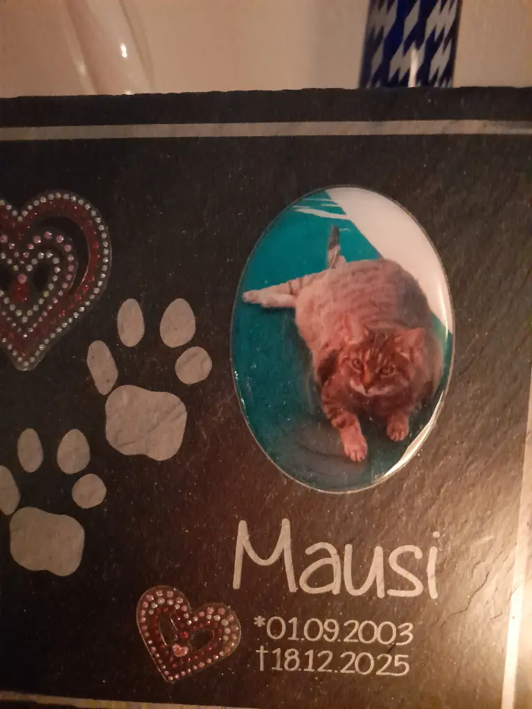 Bild von Mausi