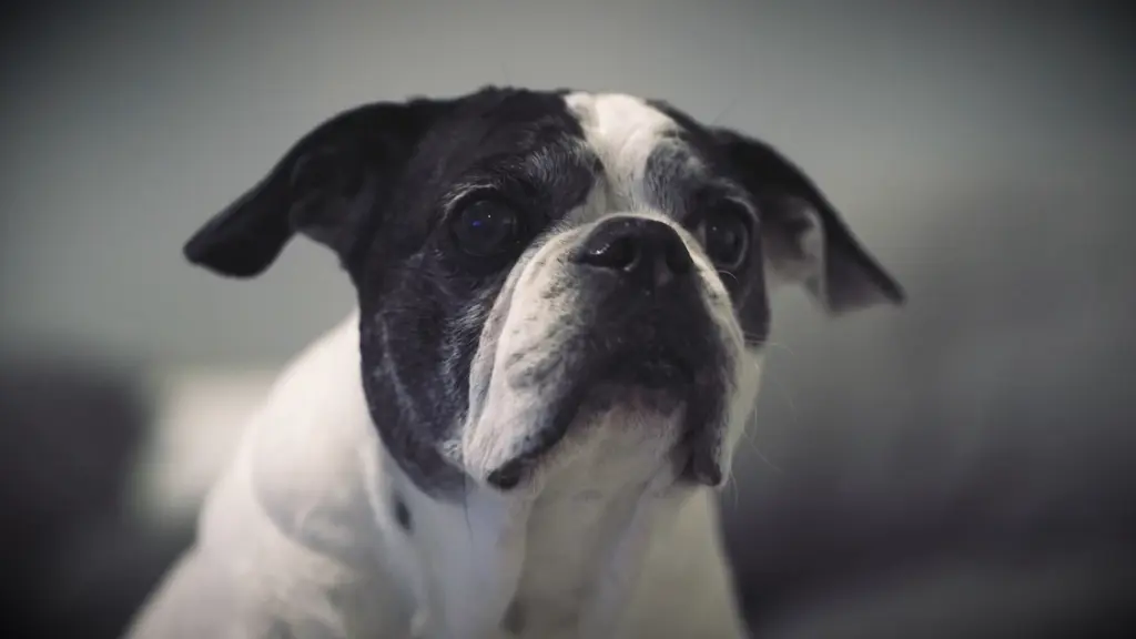 Andachtsbild von Alice Stiller