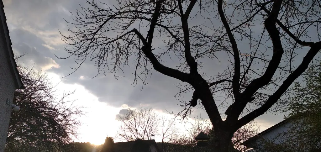 Andachtsbild von Erika Cremer