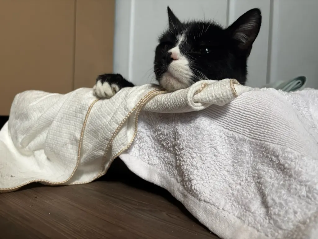 Image from Söckchen