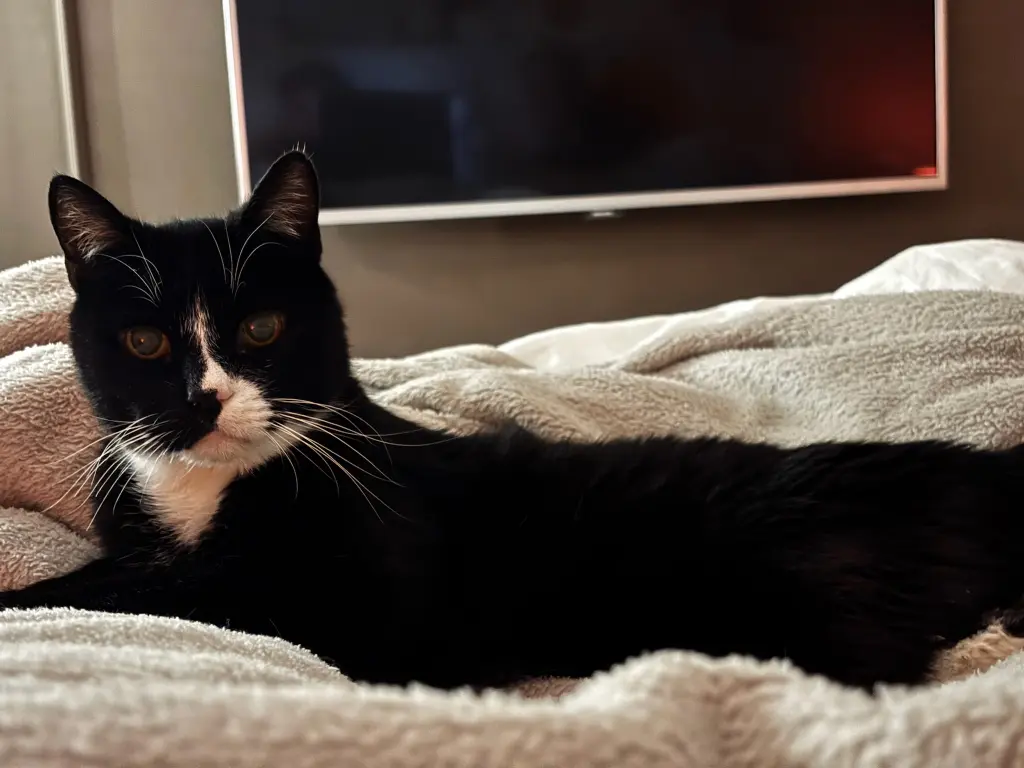 Image from Söckchen