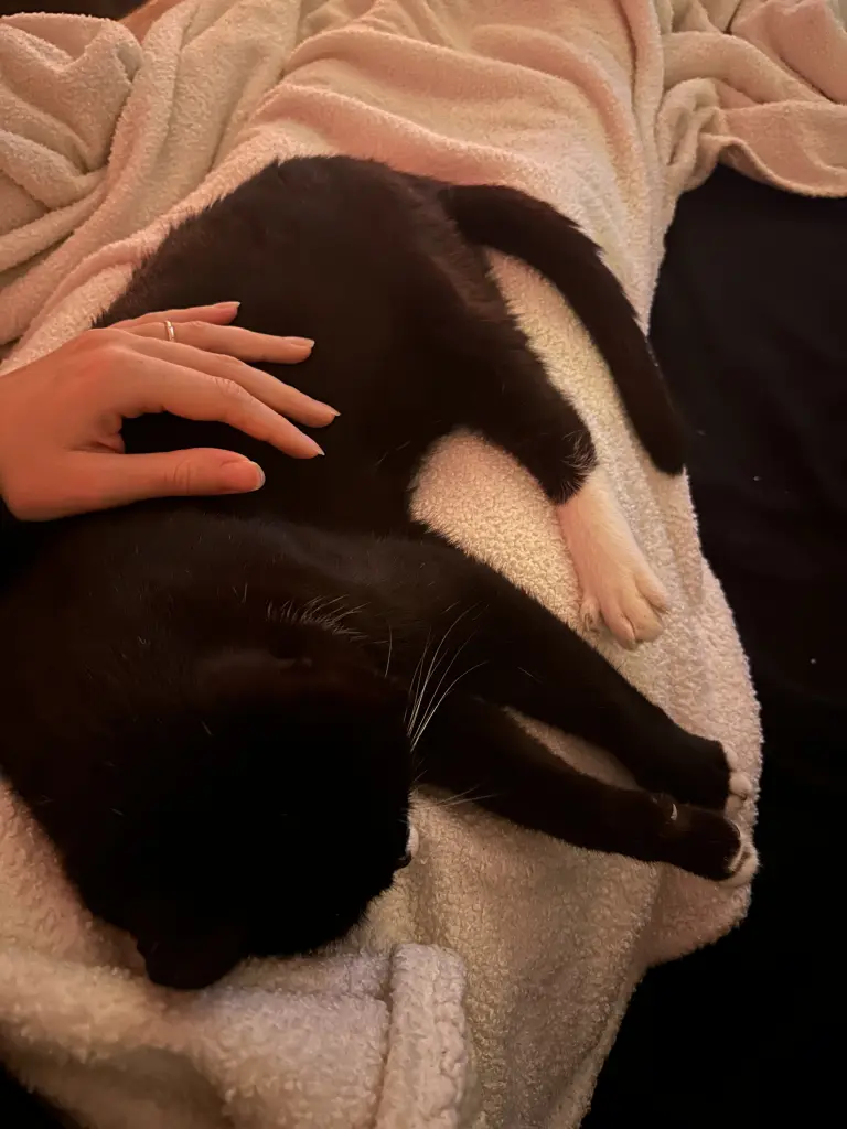 Image from Söckchen