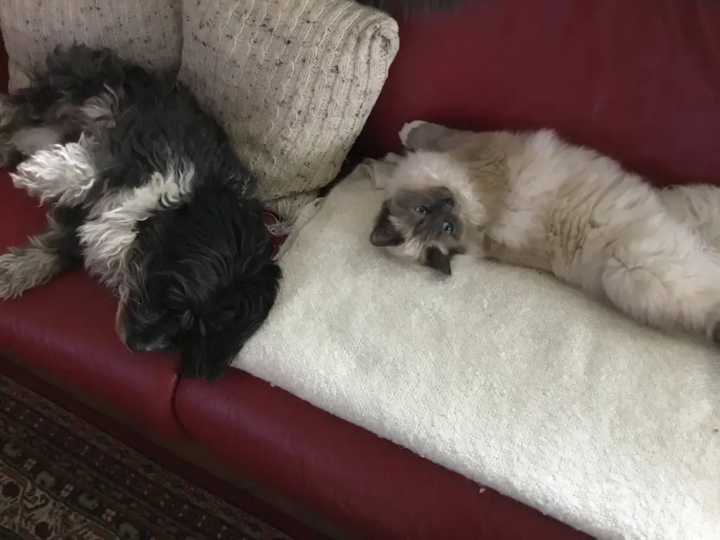 Debby und Sammy
