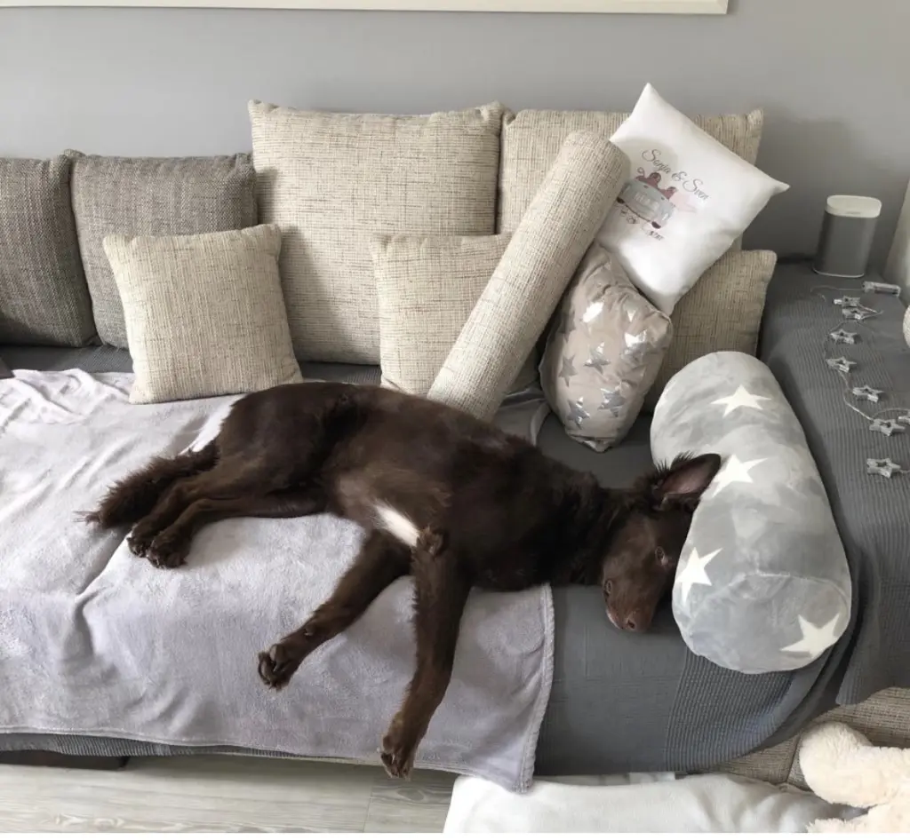 Andachtsbild von Sascha Krys