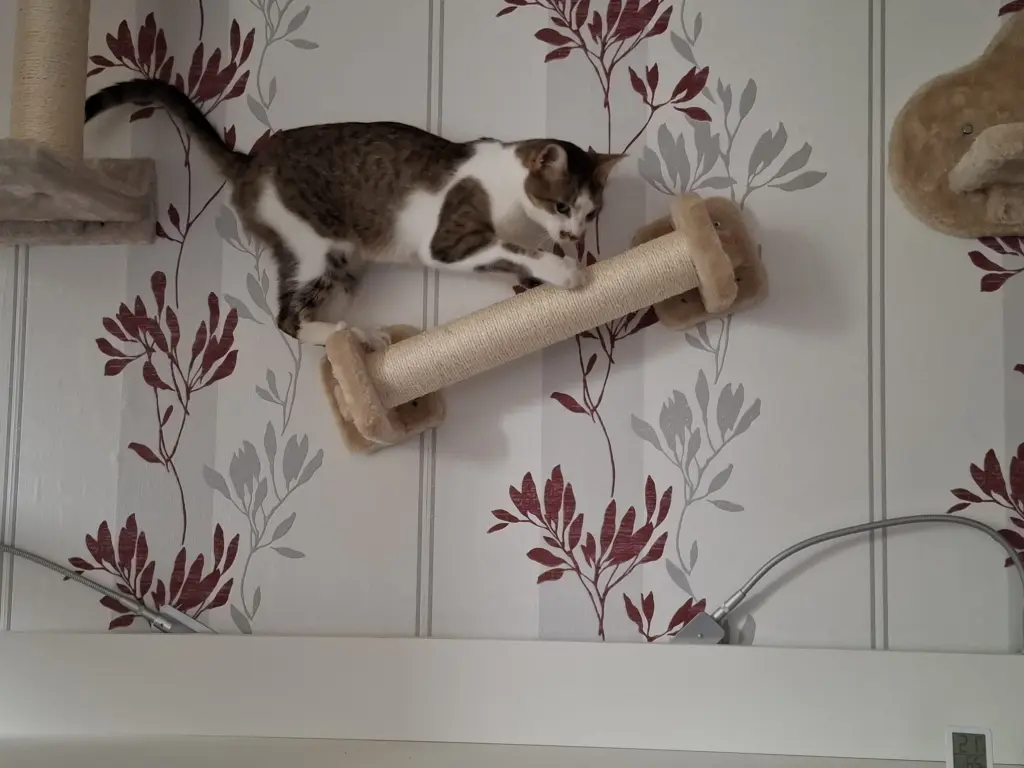 Am Klettern