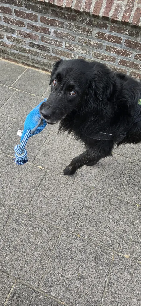 Andachtsbild von Michelle