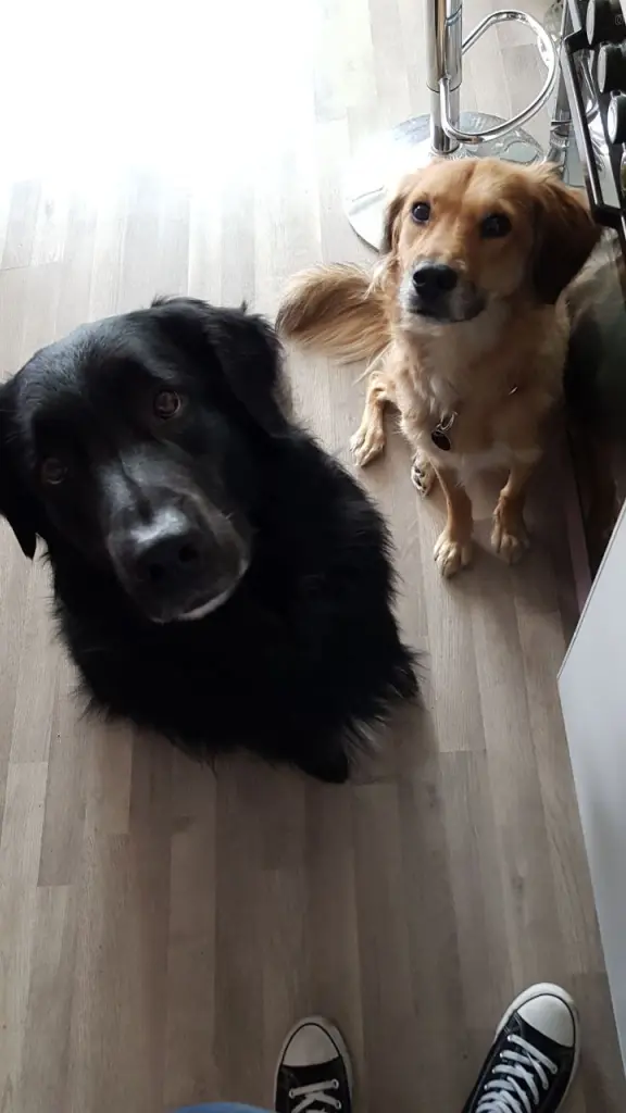 Andachtsbild von Deiner Frau Leesa