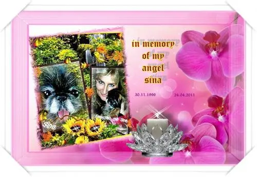 Image from my sweet little angel Sina